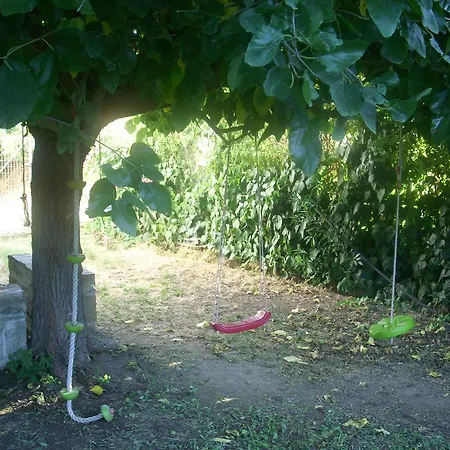 Patriko Villa Vori