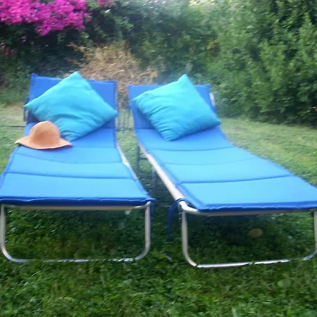 Patriko * Βόρι